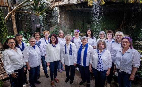 Palo Duro Metro Chorus